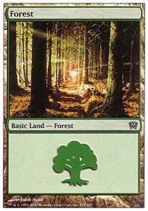 Forest (V.1)⁣ - Ninth Edition⁣ (Land)⁣ [347]