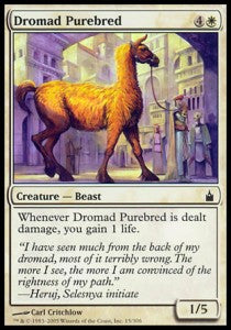 Dromad Purebred⁣ - Ravnica: City of Guilds⁣ (Common)⁣ [15]