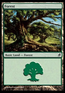 Forest (V.2)⁣ - Lorwyn⁣ (Land)⁣ [299]