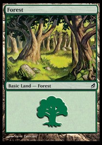 Forest (V.3)⁣ - Lorwyn⁣ (Land)⁣ [300]