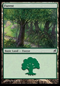 Forest (V.4)⁣ - Lorwyn⁣ (Land)⁣ [301]