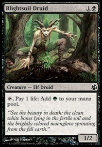 Blightsoil Druid⁣ - Morningtide⁣ (Common)⁣ [59]