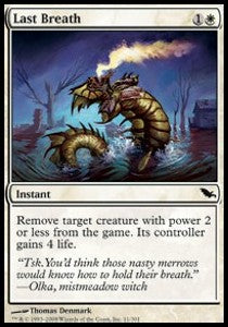 Last Breath⁣ - Shadowmoor⁣ (Common)⁣ [11]