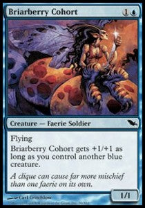 Briarberry Cohort⁣ - Shadowmoor⁣ (Common)⁣ [30]