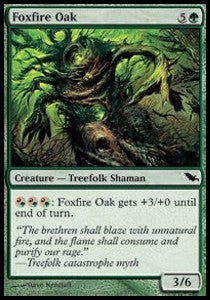 Foxfire Oak⁣ - Shadowmoor⁣ (Common)⁣ [115]