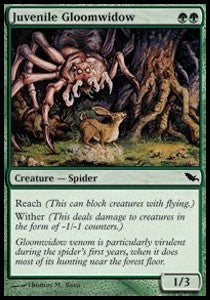 Juvenile Gloomwidow⁣ - Shadowmoor⁣ (Common)⁣ [121]