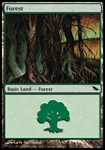 Forest (V.1)⁣ - Shadowmoor⁣ (Land)⁣ [298]
