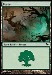 Forest (V.3)⁣ - Shadowmoor⁣ (Land)⁣ [300]