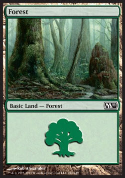 Forest (V.1)⁣ - Magic 2011⁣ (Land)⁣ [246]