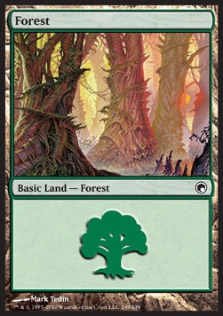 Forest (V.4)⁣ - Scars of Mirrodin⁣ (Land)⁣ [249]