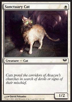 Sanctuary Cat⁣ - Dark Ascension⁣ (Common)⁣ [19]