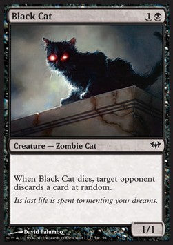 Black Cat⁣ - Dark Ascension⁣ (Common)⁣ [54]