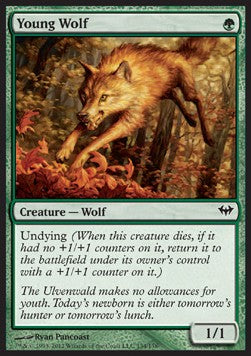 Young Wolf⁣ - Dark Ascension⁣ (Common)⁣ [134]