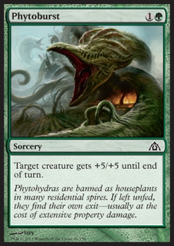 Phytoburst⁣ - Dragon's Maze⁣ (Common)⁣ [46]