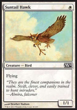 Suntail Hawk - Magic 2014 (Common) [M14-40]