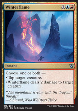 Winterflame⁣ - Khans of Tarkir⁣ (Uncommon)⁣ [213]