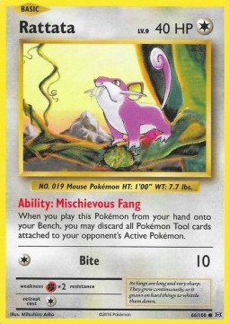 Rattata⁣ - Evolutions⁣ (Common)⁣ [66]