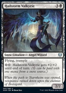 Hailstorm Valkyrie⁣ - Kaldheim⁣ (Uncommon)⁣ [97]