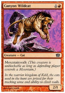 Canyon Wildcat⁣ - Eighth Edition⁣ (Common)⁣ [181]