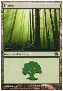 Forest (V.2)⁣ - Eighth Edition⁣ (Land)⁣ [348]